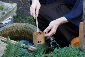 un sui an japanse tuin staf daems