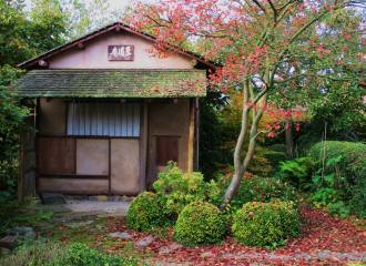 shi do an theehuis staf daems