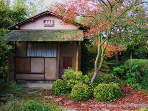 shi do an theehuis staf daems